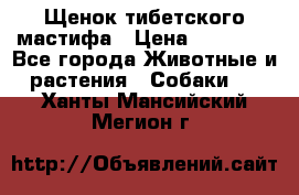 Щенок тибетского мастифа › Цена ­ 60 000 - Все города Животные и растения » Собаки   . Ханты-Мансийский,Мегион г.